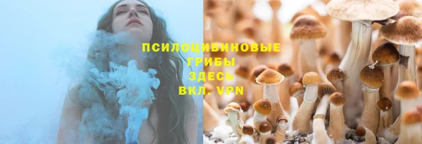 тгк Абаза