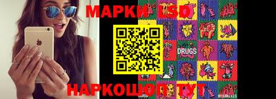 apvp Гагарин