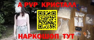 дмт Гай