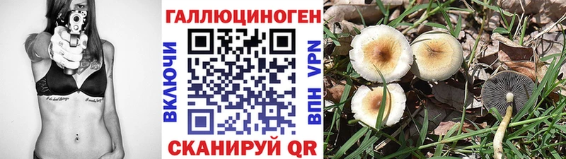 ОМГ ОМГ ONION  где продают наркотики  Моздок  Псилоцибиновые грибы мицелий 