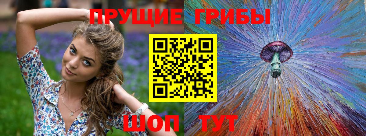 Галлюциногенные грибы Psilocybine cubensis Моздок